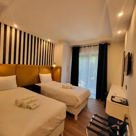 Hotel Carlton